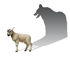 wolfinsheepsclothing