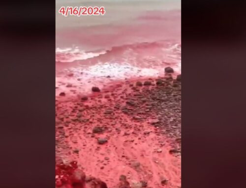 River turns blood-red in Iran just in time for Passover