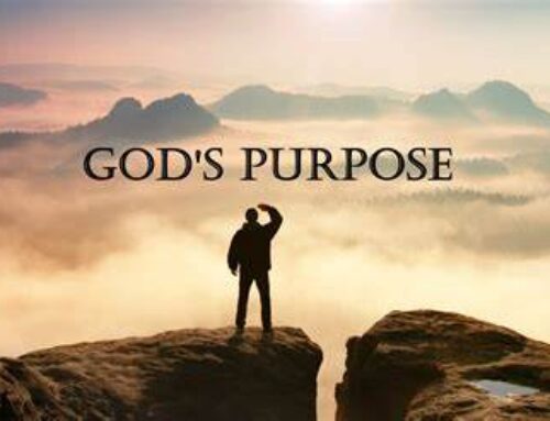 God’s Purpose For Us — Greg Laurie