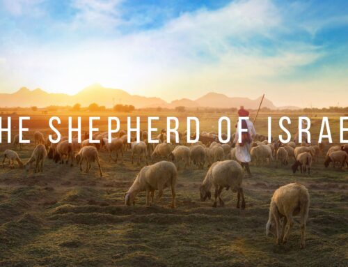 Shepherd of Israel (Psalm 23) — Marty Goetz
