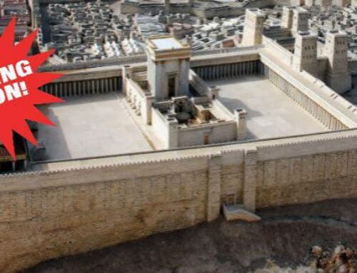 Israeli politician carves stones to build Third Temple