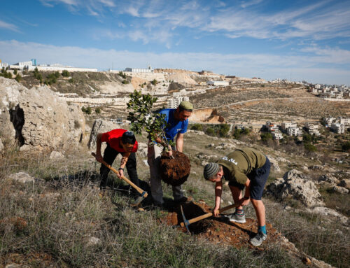 Judea and Samaria: Israel’s Biblical Heartland, Not “Occupied Palestinian Land”