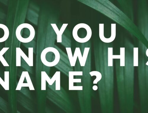 “And those who…”