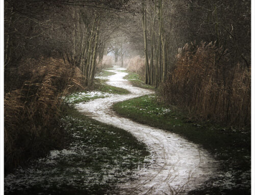 Welcome to A Crooked Path