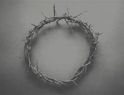 The Legend of the Social Justice Jesus