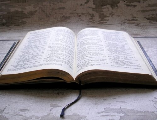 Why Should I Believe the Bible Instead of the Quran or Book of Mormon?