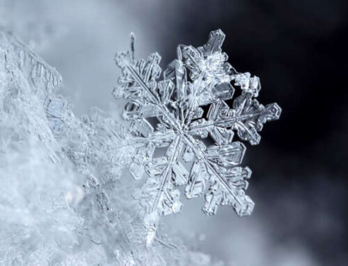 20 Times the Bible Revealed Science Before Humans Did