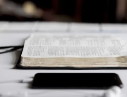 2 Timothy 3:16 is Logos’ Bible verse of the year, and Matthew was the most studied book