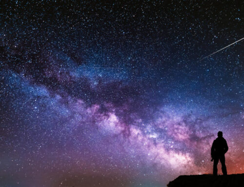 What am I looking at?