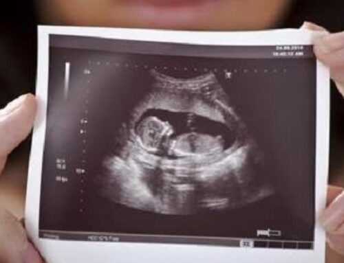 Abortions Increase as Abortion Pills Flourish