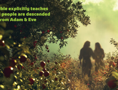 Human evolution and Jesus’ incarnation