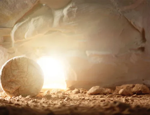 ” Our Saviour Jesus Christ, who hath abolished death.”