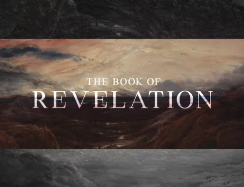 Revelation: This Will Change Your Understanding Of The Whole Book