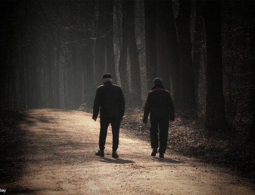 Manipulation, Abuse, and Pseudo-Solutions: Canada Is Showing Us the True, Ugly Colors of Euthanasia