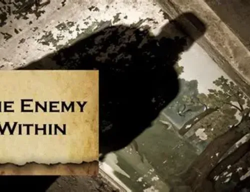 Police Officer Shot in Alleged Antifa Attack Testifies in Texas Trial