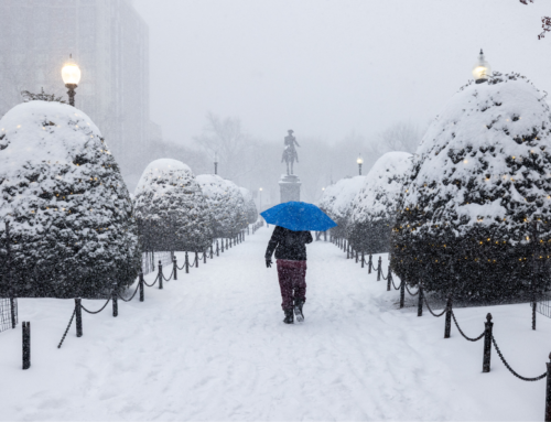 The Climate Change Racket