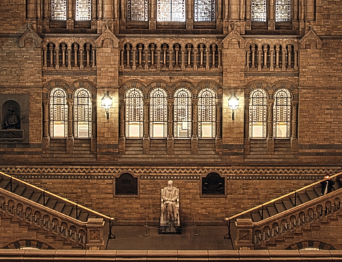 Evolution: The most lavish marketing campaign in history