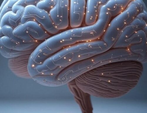 AI Is Artificial Instinct (Not Intelligence)