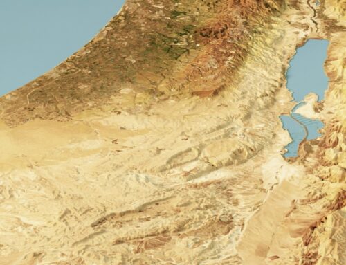 The Curious Case of ‘Anti-Zionists’