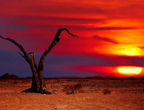 Iran and The Apocalypse: A Prophetic Roadmap