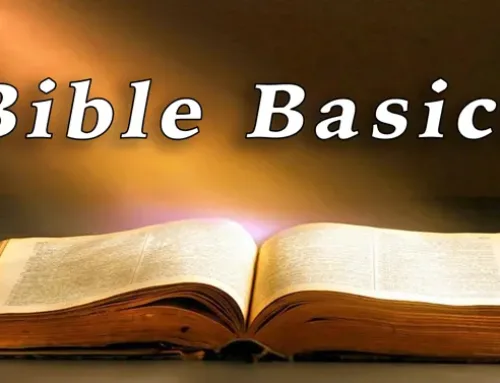 New Research Shows Even Committed Christians Struggle with Application, As Overwhelming Majority of U.S. Adults Lack Biblical Basics
