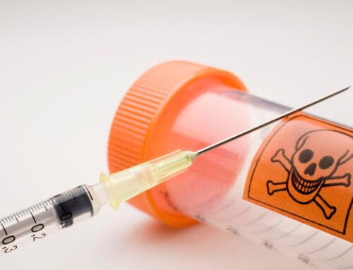 Canada Has Euthanized Almost 100,000 People