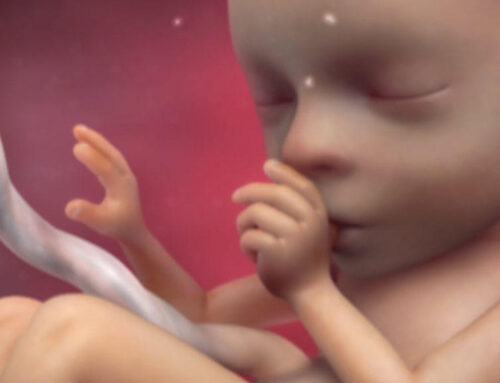 British House of Lords Votes for the Murder of Human Children Up to Birth