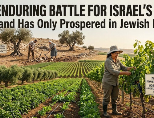 The Enduring Battle For Israel’s Soil: The Land Has Only Prospered In Jewish Hands