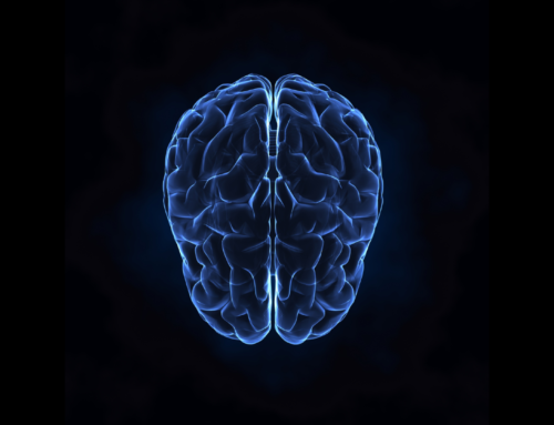 Is the brain optimally designed? New research says yes.