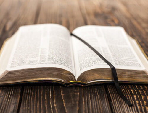 Leather, Legacy, And The Living Word: The Dilemma Of Luxury Bibles