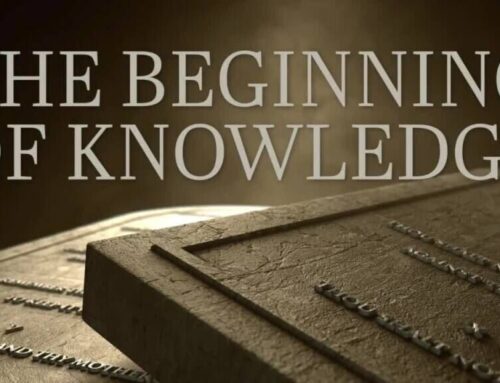 The Beginning of Knowledge