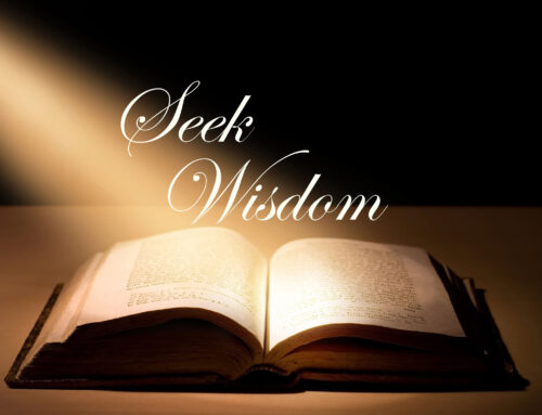 The Value of Wisdom