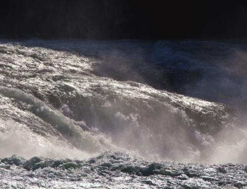 Why the global Flood matters