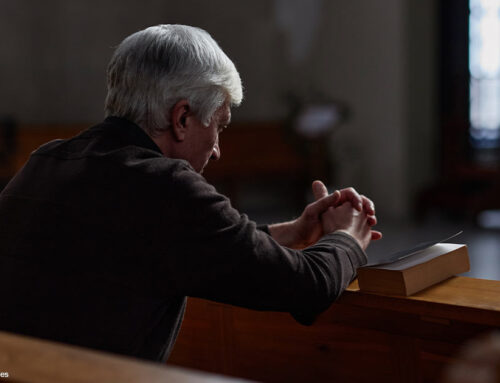 State of the Bible Report Highlights Americans’ Biblical Illiteracy