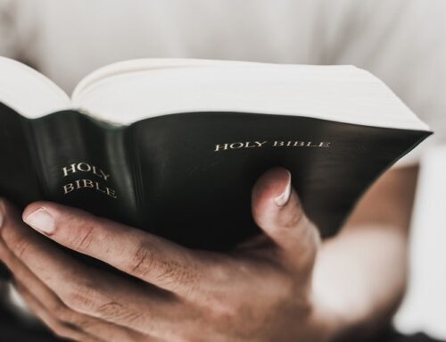 America Reads the Bible: How a Crisis Opened my Eyes to a Nation on Fire for God