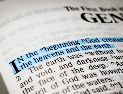 In-Depth: Evolution Is Running Out of Options — Denying design is indefensible