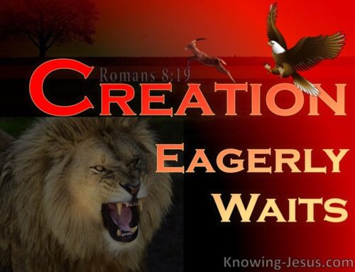 Awaiting the revealing of the sons of God!