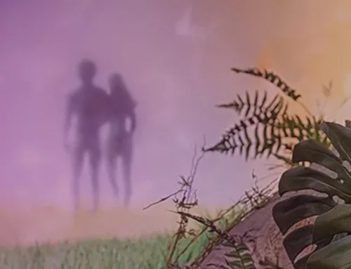 How Could All Humans Come from Adam & Eve?
