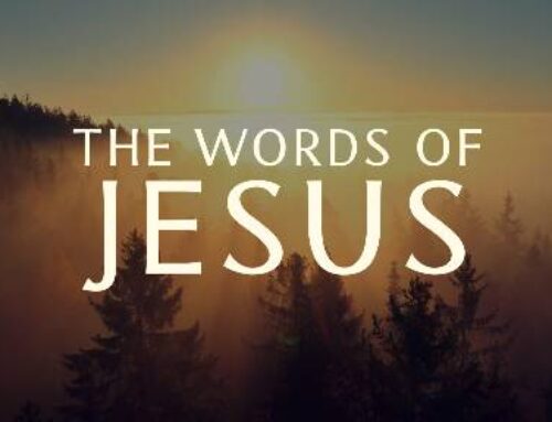 The Words of Jesus