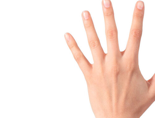 The incredible human hand