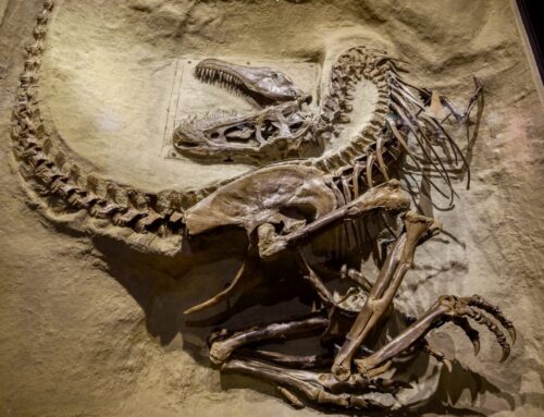 The Evolutionary Worldview Continues To Crumble As More Reports Prove That Science Confirms The Bible