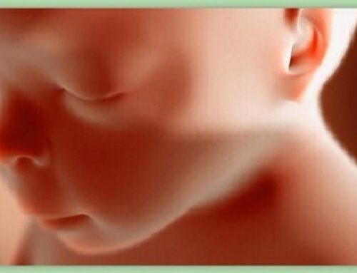 New Report Shows Abortions Killed 99,470 Babies in January