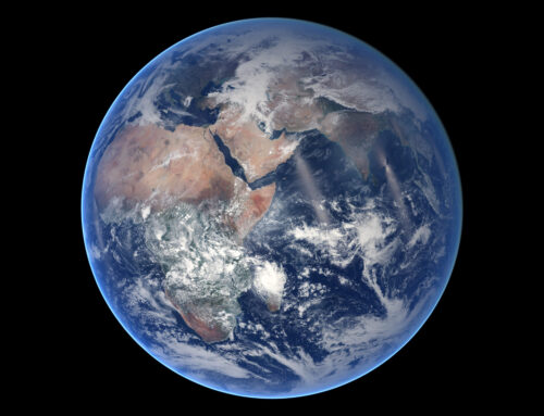 “Let all the earth…”